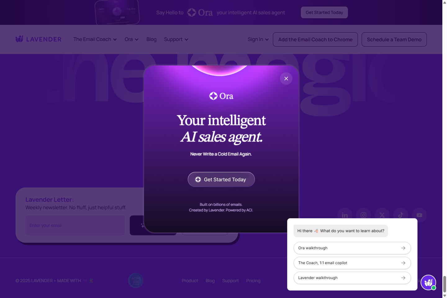 Lavender Coach pricing section with Basic, Starter, Individual Pro, and Team Plan